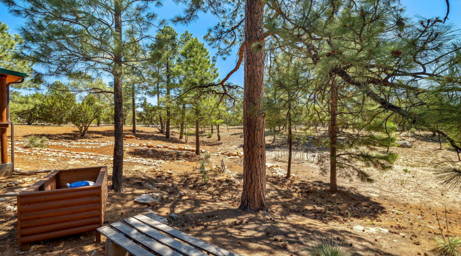 2738ChandelleLn-Heber-AZ-35