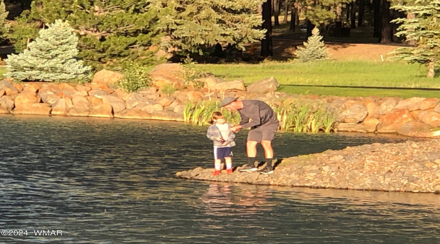 Learning To Fish