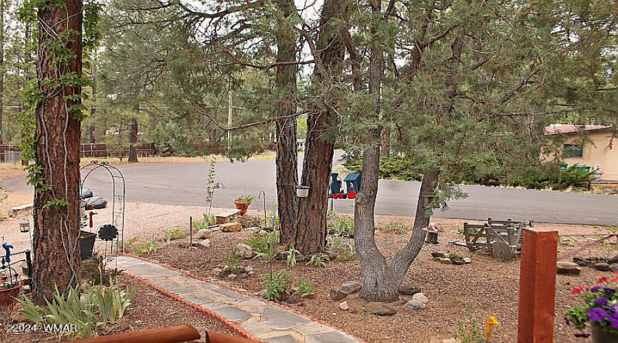 005_Front Porch View