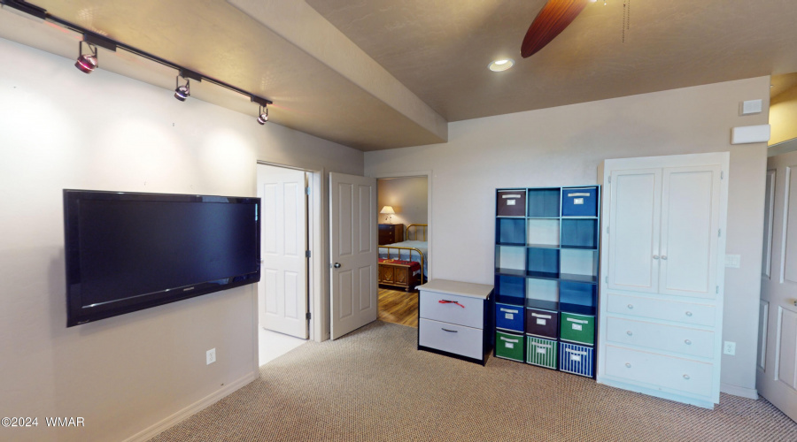 Lower Level Living Room