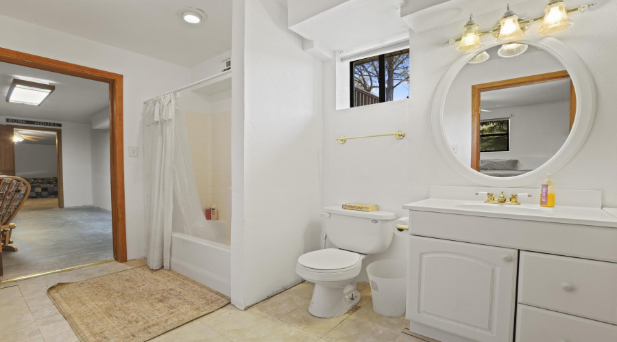 bathroom in finished basement