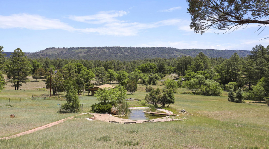 fishing pond and guest bunk house