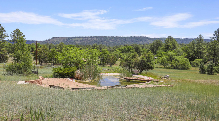 stocked fishing pond