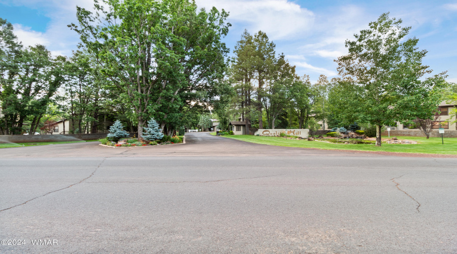 4460b Crown Dancer, Pinetop (44)