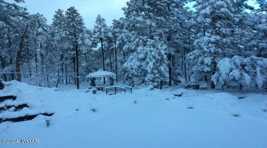 Backyard snow