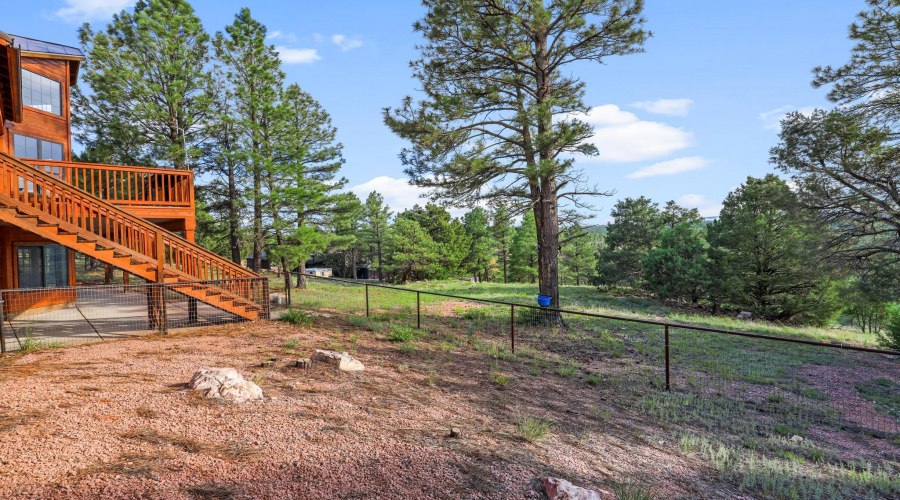 fenced yard in back