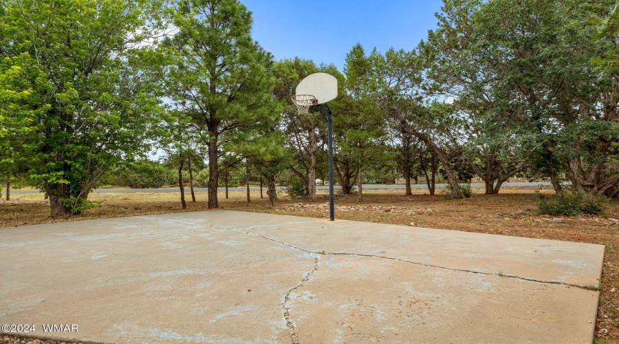 Basketball Court