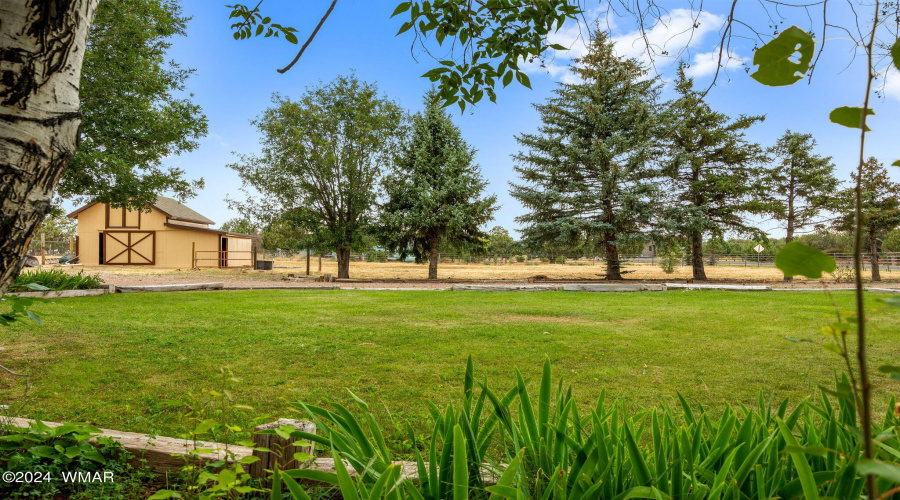 View from side yard to Barn