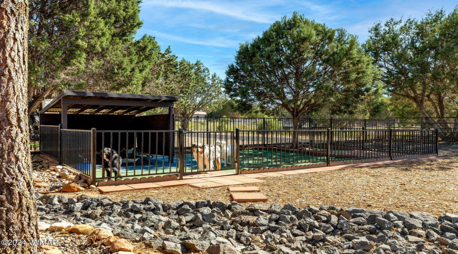 Fenced in Dog Run with Covered Area