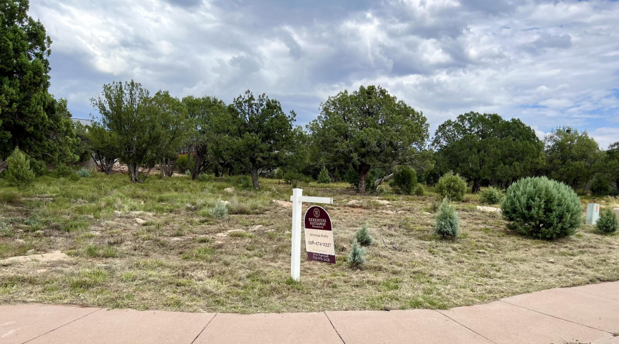 aviator Pkwy sign view