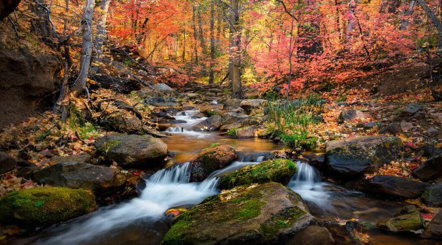 Fall Christopher Creek