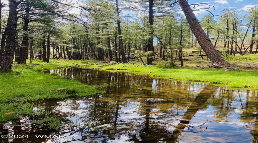 Hiking In The White Mountains