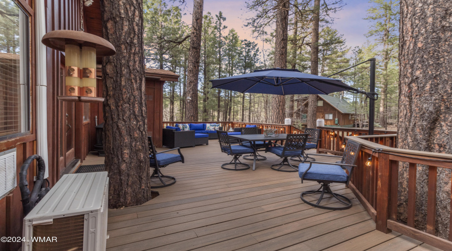 248 E Sky High Rd Pinetop (30)