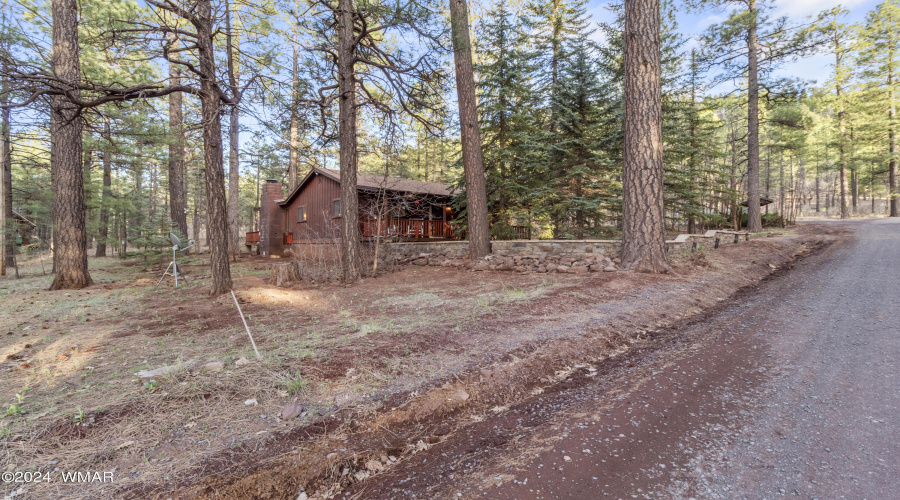 248 E Sky High Rd Pinetop (37)