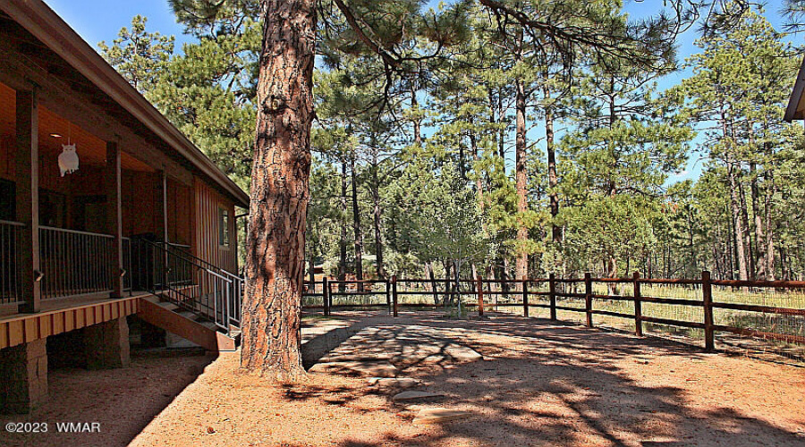 Backyard View