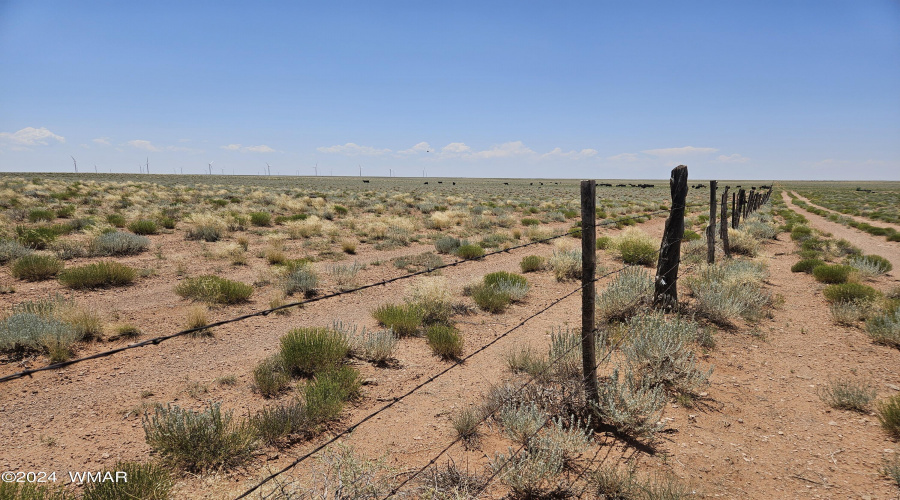 fence line to the west