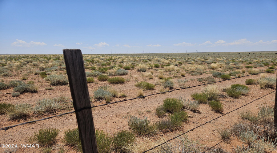 looking out in to the property