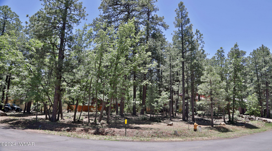 6001 Pitch Fork Lane, Pinetop AZ  85935