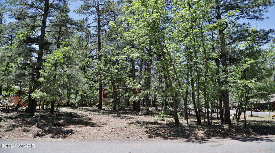 6001 Pitch Fork Lane, Pinetop AZ  85935