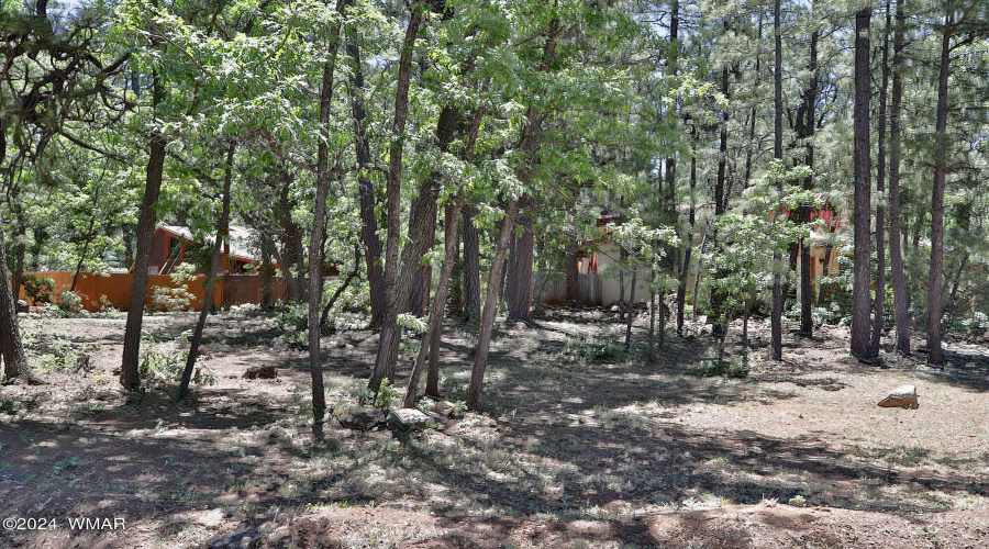 6001 Pitch Fork Lane, Pinetop AZ  85935