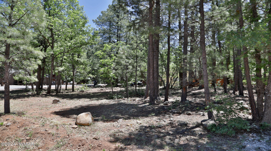 6001 Pitch Fork Lane, Pinetop AZ  85935