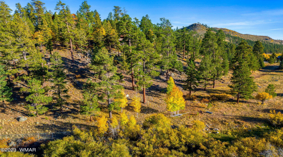 Parcel-102-07-004H-Greer-AZ-10