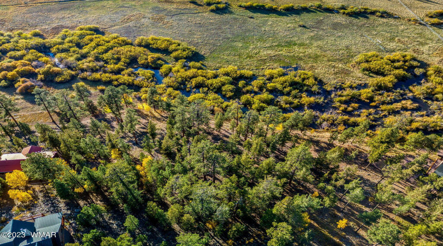 Parcel-102-07-004H-Greer-AZ-8