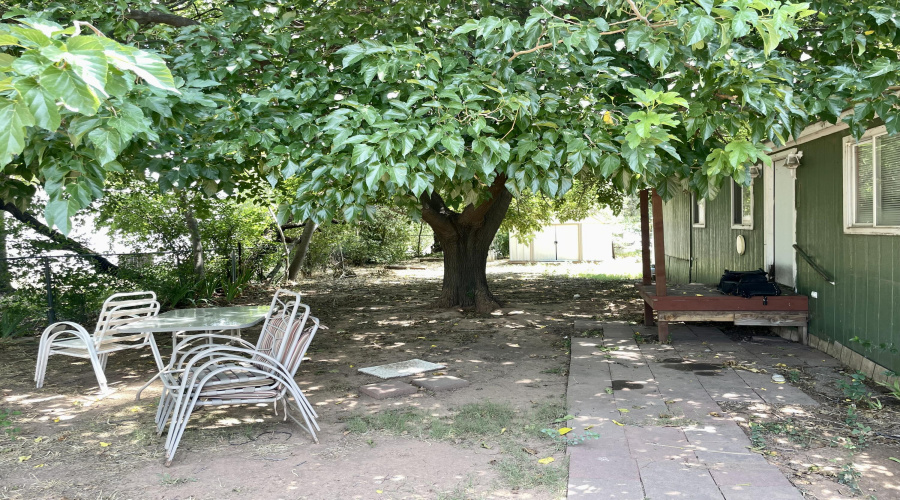 Cool shady fenced yard