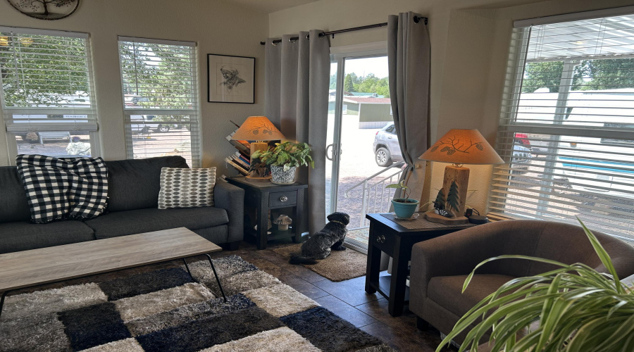 Living Area with lots of Natural Light