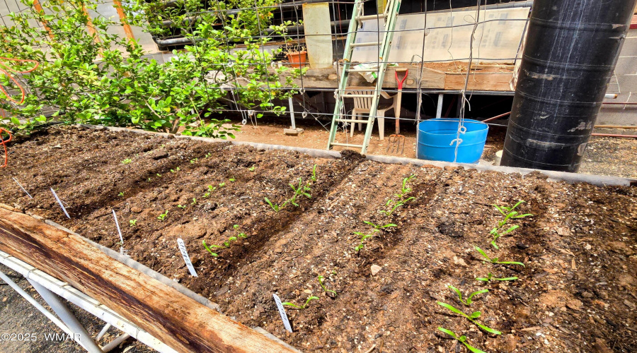 Self-Sustainable Living
