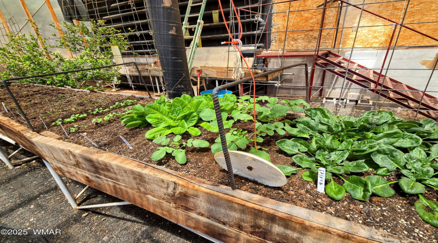 Self-Sustainable Living