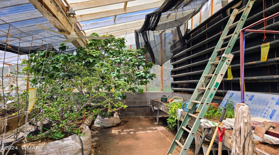 Greenhouse