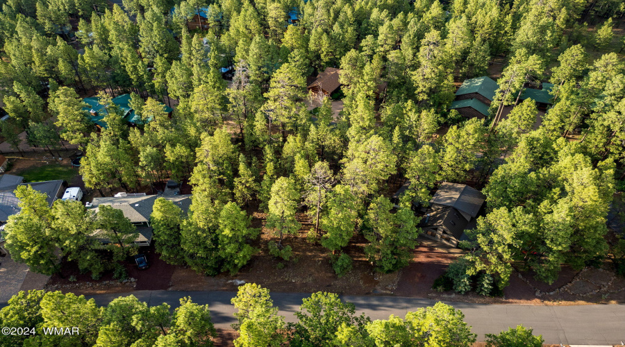 6938PalominoDr-Pinetop-AZ-12