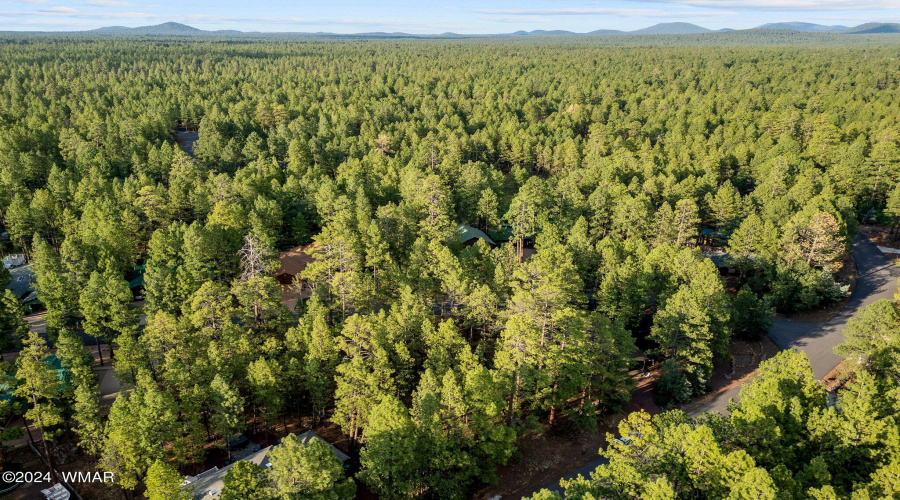 6938PalominoDr-Pinetop-AZ-13