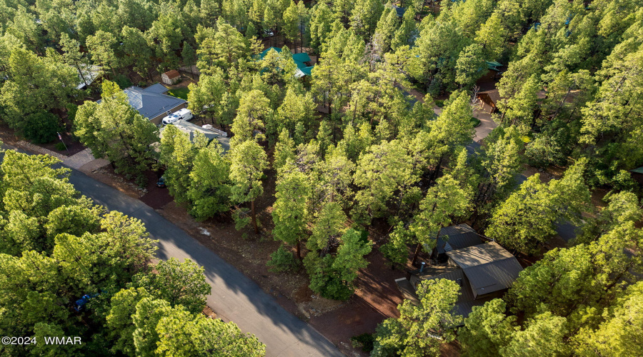 6938PalominoDr-Pinetop-AZ-14