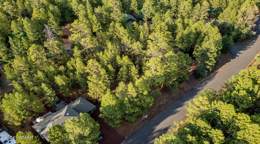 6938PalominoDr-Pinetop-AZ-15