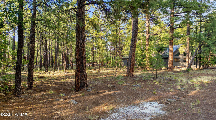 6938PalominoDr-Pinetop-AZ-2