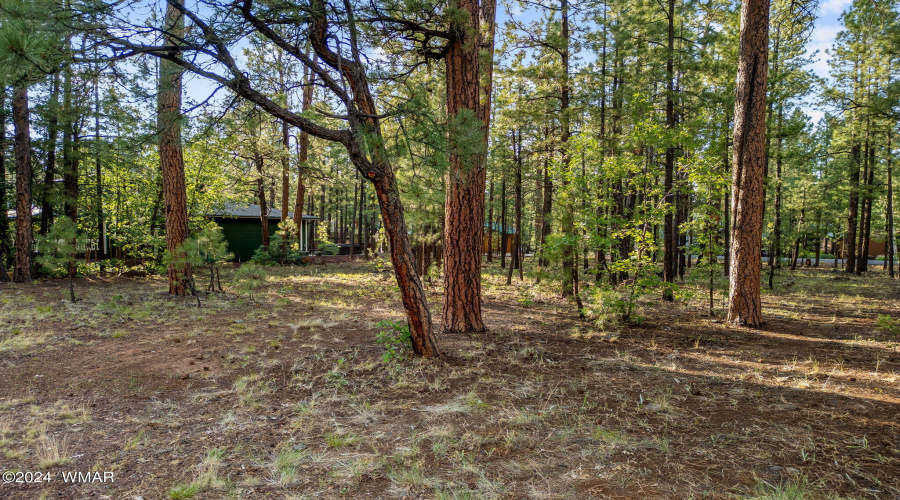 6938PalominoDr-Pinetop-AZ-3