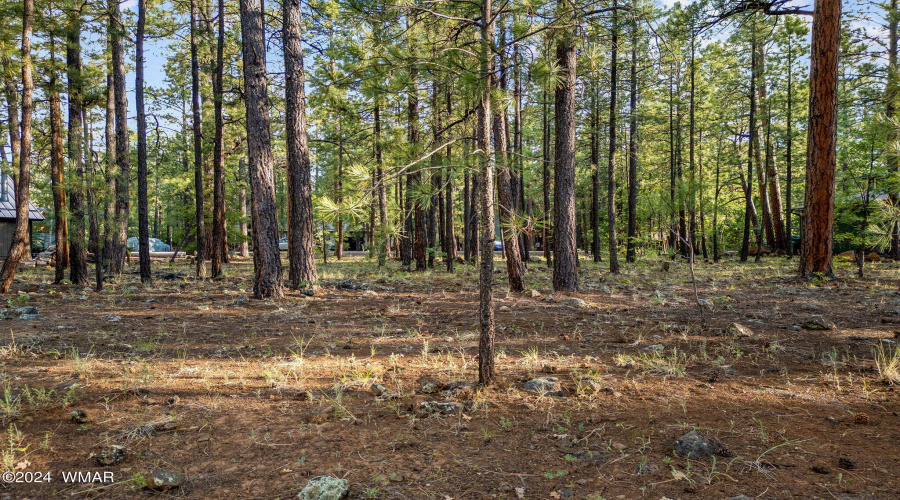 6938PalominoDr-Pinetop-AZ-4