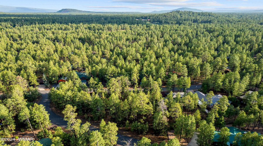 6938PalominoDr-Pinetop-AZ-7