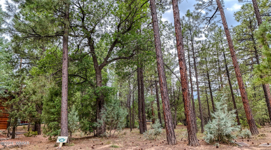 5039 Winter Hawk Court-Lot #69-1