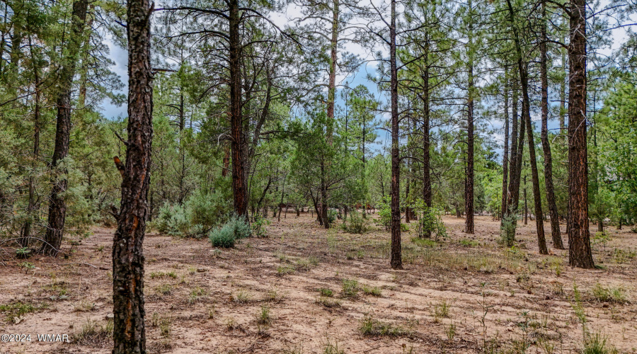 5039 Winter Hawk Court-Lot #69-7