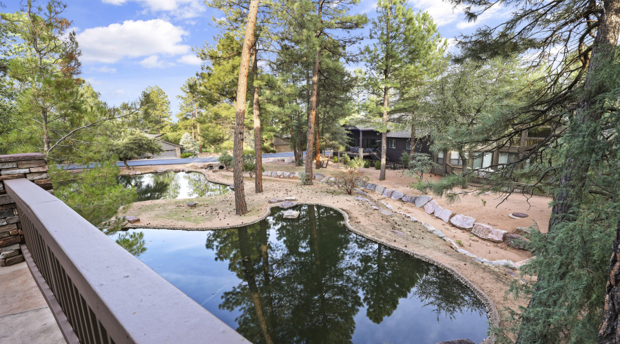 View of Water Features from Deck