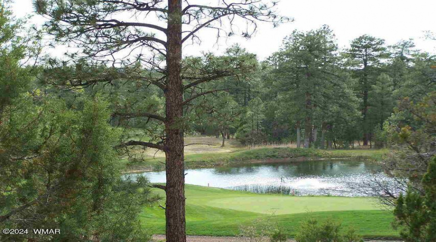 Pond view