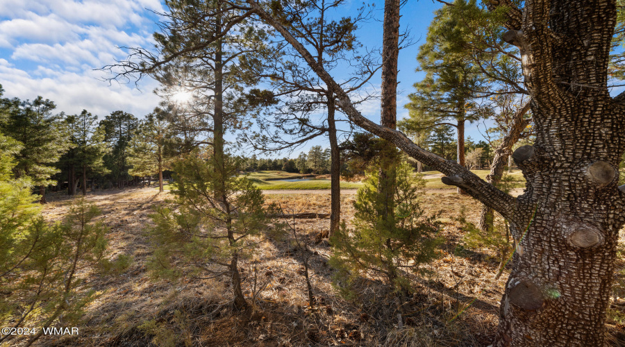 Views of the Golf Course