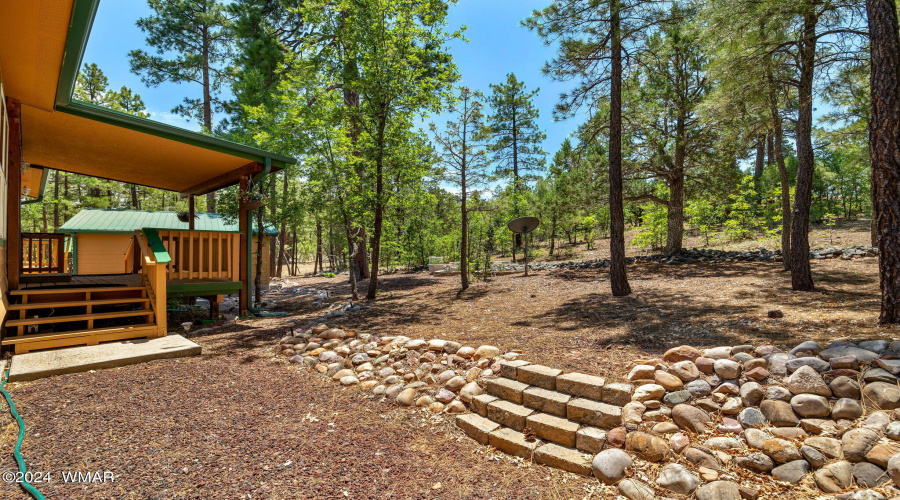 Backyard with Beautiful Trees