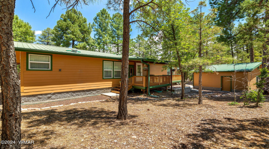 Backyard with Garage Service Door