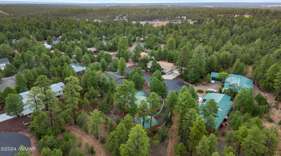 Aerial View of Community