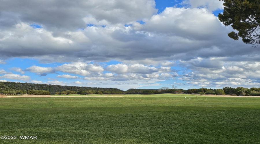 Birdie Ranch Golf