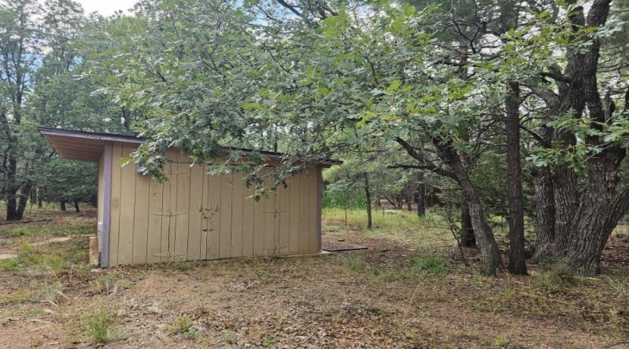 Shed Storage